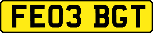 FE03BGT