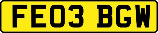 FE03BGW