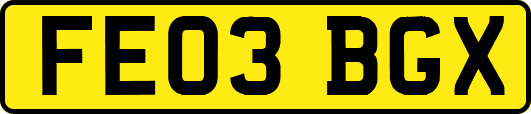 FE03BGX