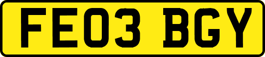 FE03BGY