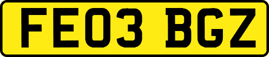 FE03BGZ