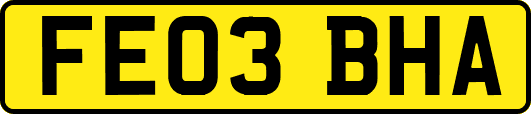 FE03BHA