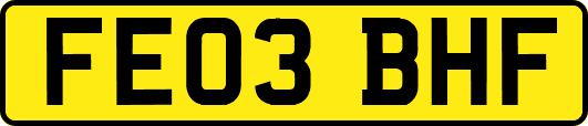 FE03BHF
