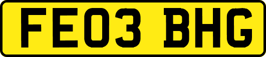 FE03BHG