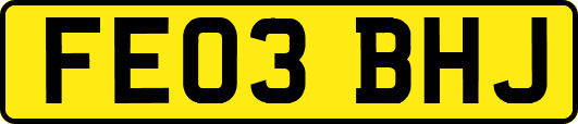 FE03BHJ