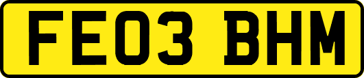 FE03BHM