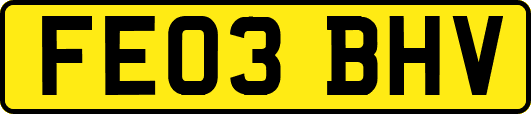 FE03BHV