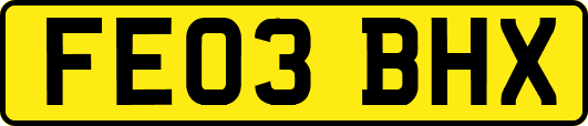 FE03BHX