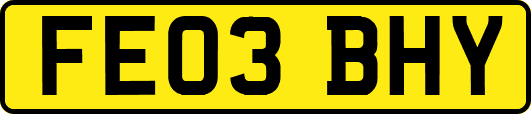 FE03BHY