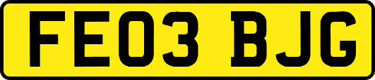 FE03BJG