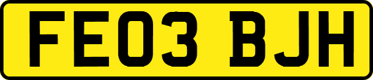 FE03BJH