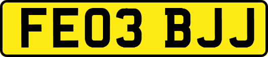 FE03BJJ