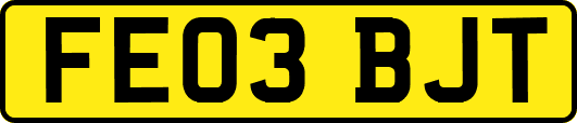 FE03BJT