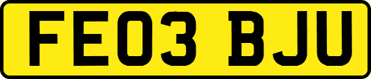 FE03BJU