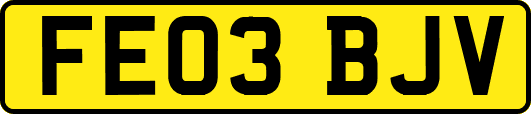 FE03BJV