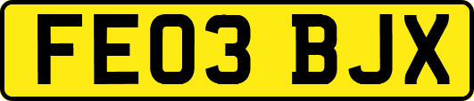 FE03BJX