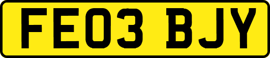 FE03BJY