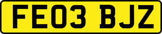 FE03BJZ
