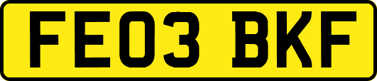 FE03BKF