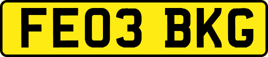 FE03BKG