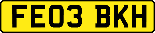 FE03BKH