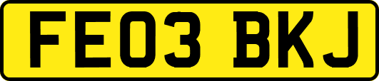 FE03BKJ