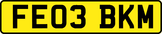FE03BKM