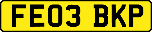 FE03BKP