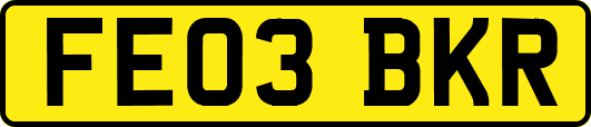 FE03BKR