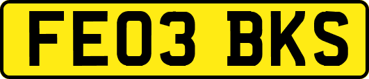 FE03BKS