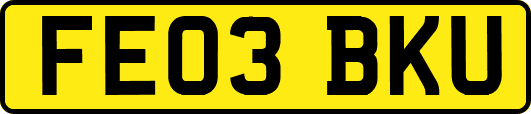 FE03BKU