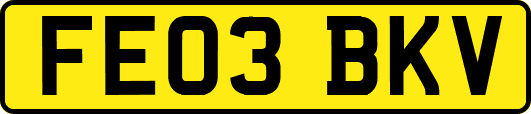 FE03BKV