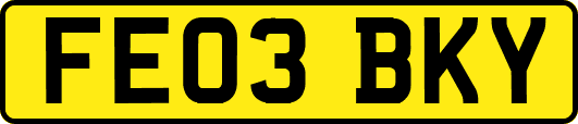 FE03BKY