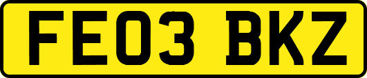 FE03BKZ