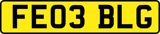 FE03BLG