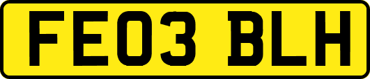 FE03BLH