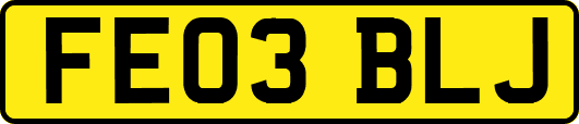 FE03BLJ