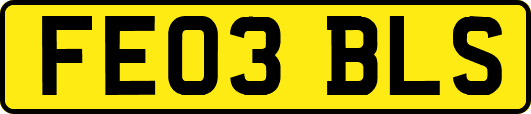 FE03BLS