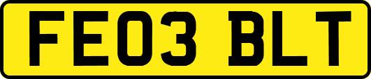 FE03BLT