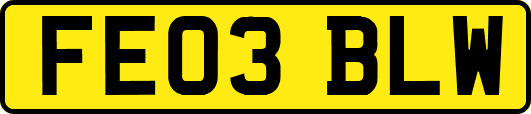 FE03BLW