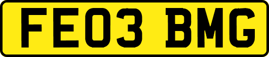 FE03BMG