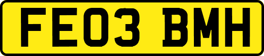 FE03BMH