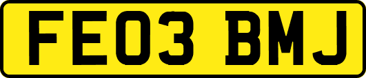 FE03BMJ