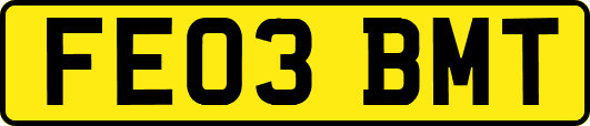FE03BMT
