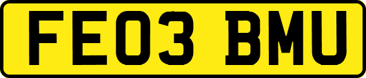 FE03BMU