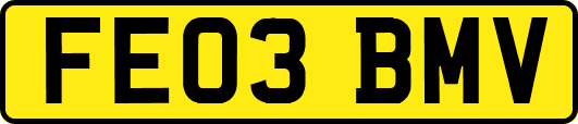 FE03BMV