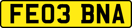 FE03BNA
