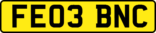 FE03BNC