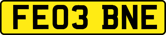 FE03BNE