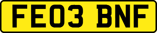 FE03BNF